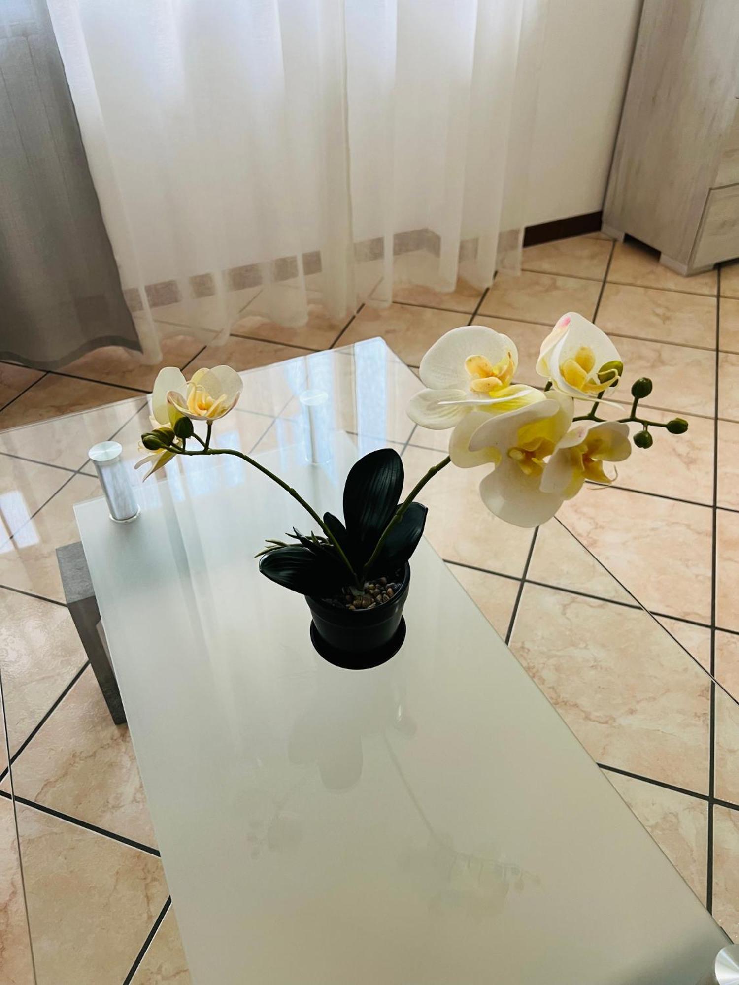 Casa Vacanza Elena 2 Verona Kültér fotó